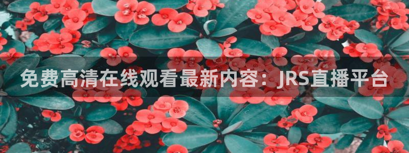 wnba直播免费观看说球帝