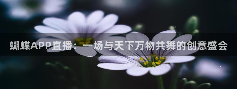 说球帝网页直播