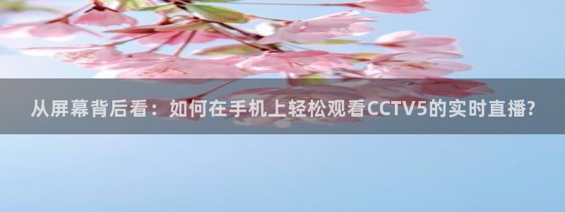 说球帝nba直播免费