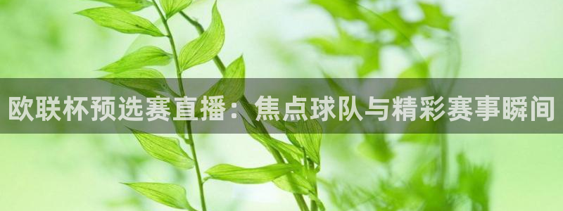 说球帝nba在线直播篮球：欧联杯预选赛直播：焦点球队与精彩赛事瞬间